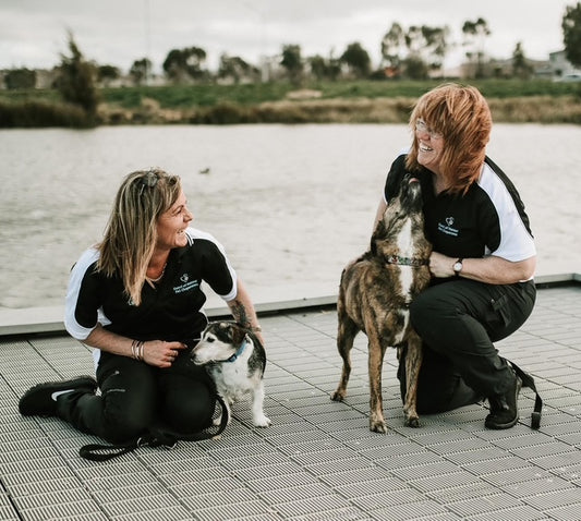 Guest of Honour Pet Chaperones