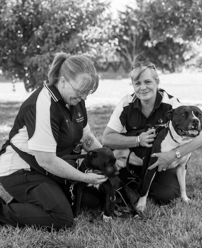 Guest of Honour Pet Chaperones
