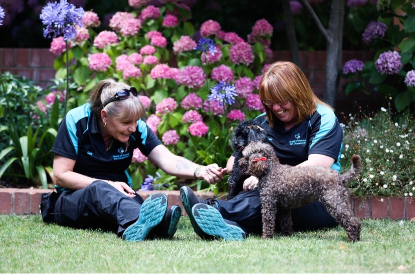 Guest of Honour Pet Chaperones