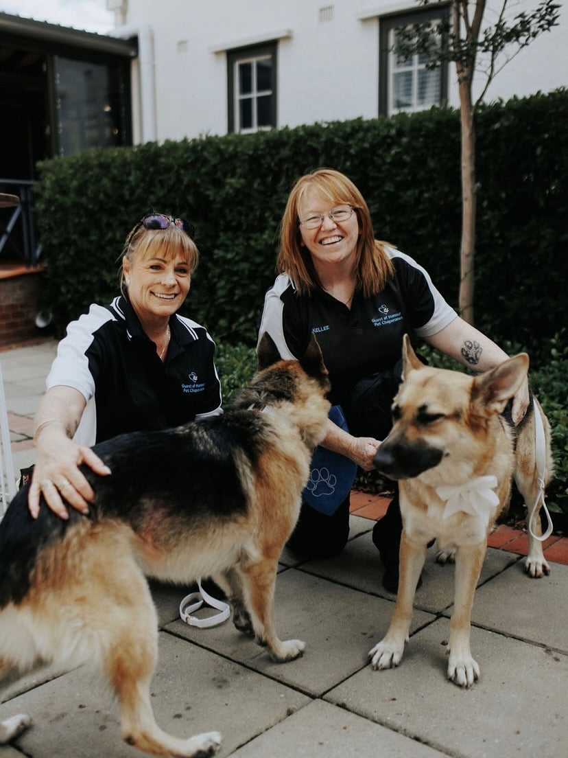 Guest of Honour Pet Chaperones
