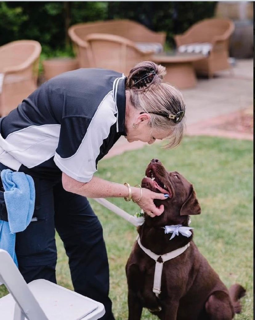 Guest of Honour Pet Chaperones
