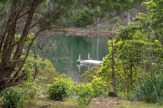 Robyn's Nest Lakeside Resort