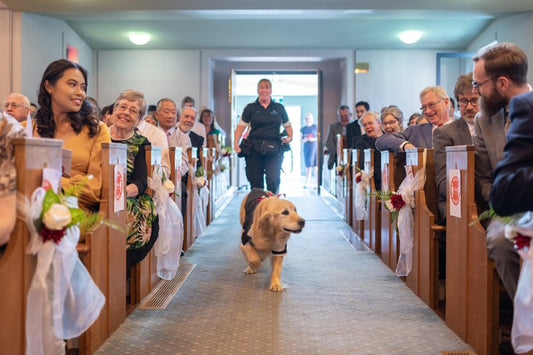 Guest of Honour Pet Chaperones